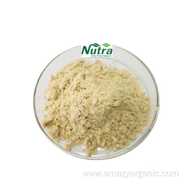 Pineapple Extract Bromelain Enzyme Bromelin Powder